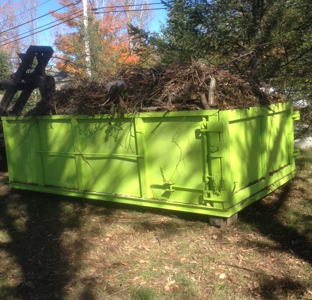 Tree Removal Dumpster Services-Fort Collins Elite Roll Offs & Dumpster Rental Services