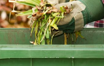 Yard Waste Dumpster Services-Fort Collins Elite Roll Offs & Dumpster Rental Services