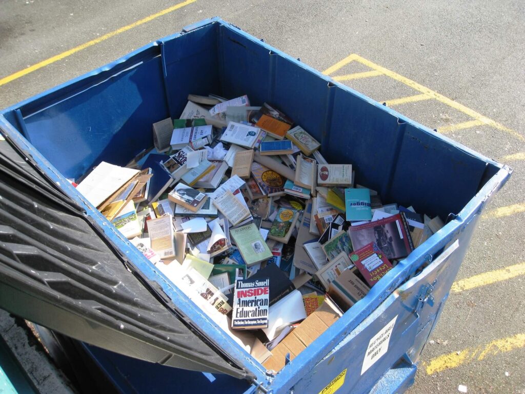 School Cleanup Dumpster Services-Fort Collins Elite Roll Offs & Dumpster Rental Services