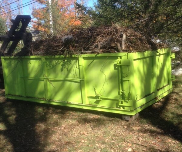 Tree Removal Dumpster Services-Fort Collins Elite Roll Offs & Dumpster Rental Services